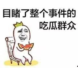 吃瓜群众坐着看戏