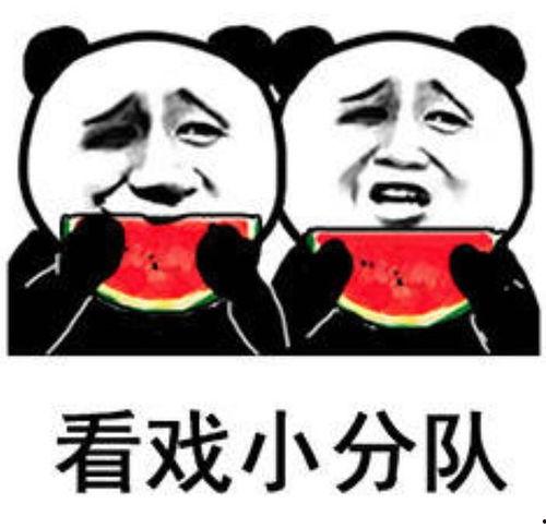 吃瓜表情包设计,吃瓜表情包背后的趣味与智慧