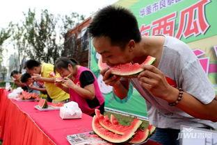 吃瓜比赛如何组织,一场别开生面的吃瓜比赛组织攻略