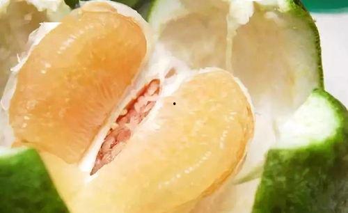 血糖高可以吃土瓜吗,土瓜的适宜性探讨