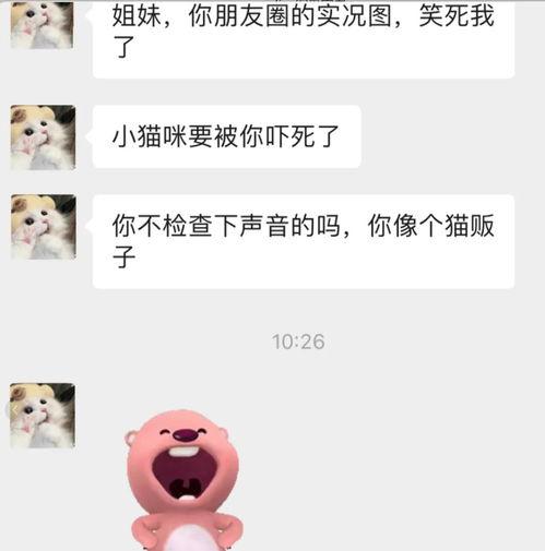 微信聊天 吃瓜,揭秘网络社交背后的趣味与真相